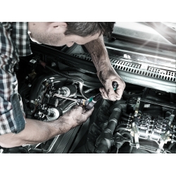 WERA 8767 A TORX® HF 1 Zyklop Bitdoppen set lang,1/4" met vasthoudfunctie WERA 8767 A TORX® HF 1 Zyklop Bitdoppen set lang,1/4" met vasthoudfunctie