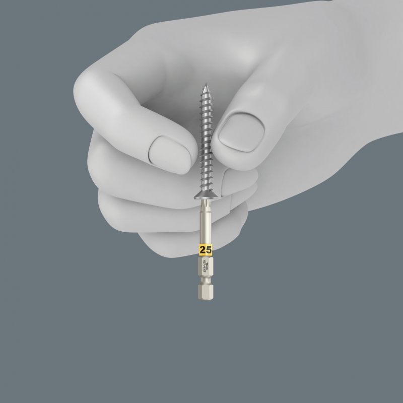 WERA Bit-Check 6 TORX®HF lang vasthoudfunctie 05056470 4013288226181