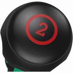 WERA PH 2x100 Phillips Läsertip Ball-Grip 05007906001 4013288222718