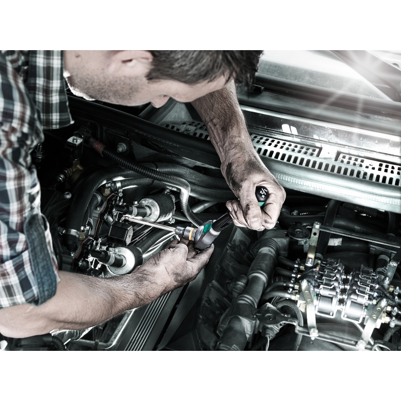 WERA 8767 B TORX® HF 1 Zyklop Bitdoppen set TORX® lang, met vasthoudfunctie 3/8"