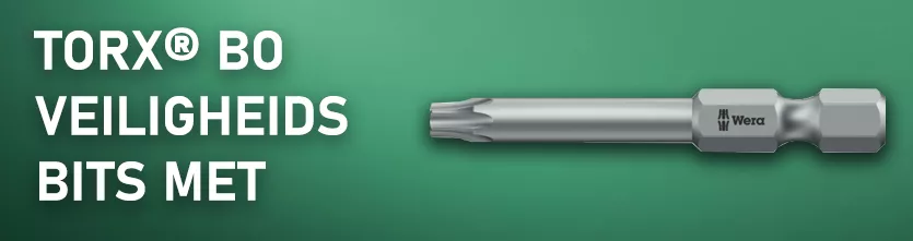 TORX®-schroef.Door een boring wordt ongeoorloofd losdraaien voorkomen.